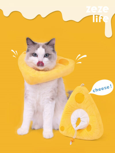 Cheese Cat Cone