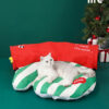 Glove Cat Tunnel Bed