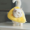 Cheese Cat Cone