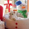 Hug Snowman Cat Bed