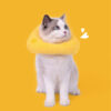 Cheese Cat Cone