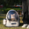 Frosted Semi-Transparent Cat Spaceship Backpack