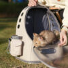 Frosted Semi-Transparent Cat Spaceship Backpack