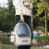 Frosted Semi-Transparent Cat Spaceship Backpack