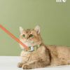 Candy Cat Laser Collar