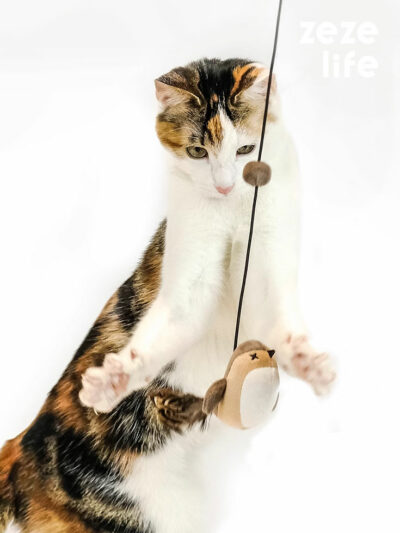 Elastic Cord Flying Bird Cat Toy