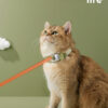 Candy Cat Laser Collar