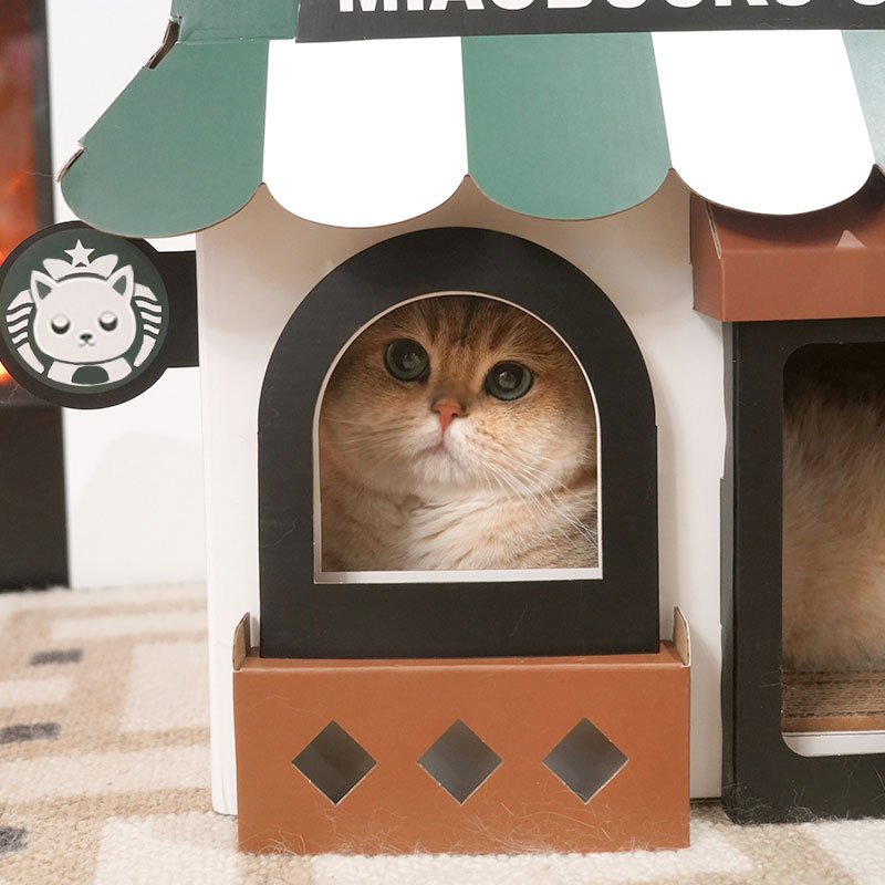 Café Cardboard Cat House