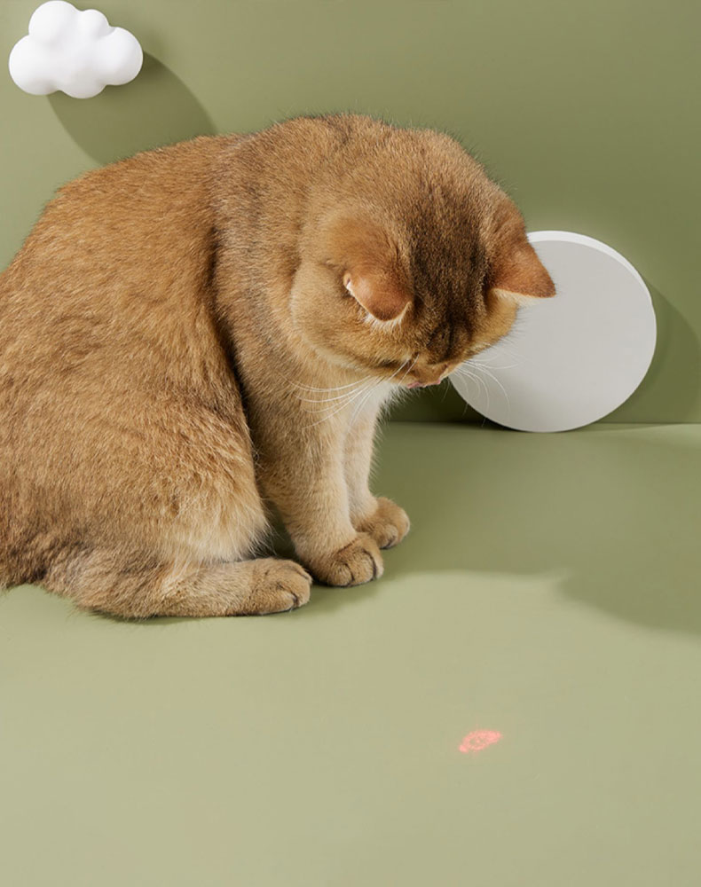 Candy Cat Laser Collar