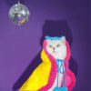 Superstar Cat Capes