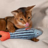 Cat Toy Fish Catnip Toy