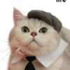 Gentleman Hat Cat Beret