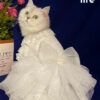 White Embroidered Princess-style Wedding Cat Dress