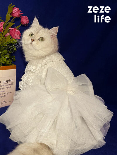 White Embroidered Princess-style Wedding Cat Dress