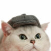 Gentleman Hat Cat Beret