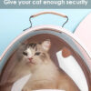Space Capsule Pink Cat Carrier