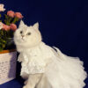 White Embroidered Princess-style Wedding Cat Dress