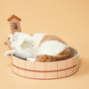 Japanese-Style Hot Springs Cat Scratcher Bed