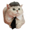 Gentleman Hat Cat Beret