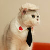 Gentleman Hat Cat Beret