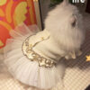 Star Lace Chiffon Cat Dress