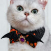 Halloween Cat Collar