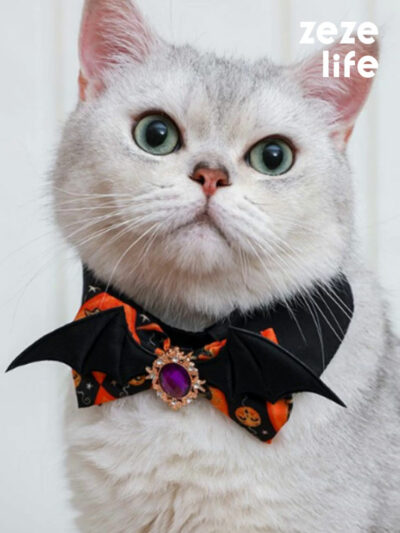 Halloween Cat Collar