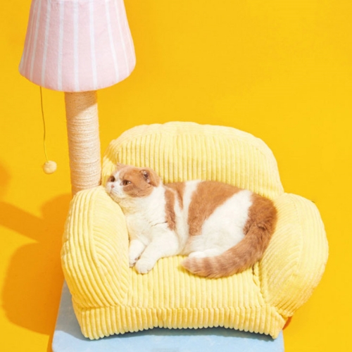 Living Room Cat Sofa Set
