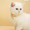 Duck Yellow Cat Collar