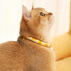 Duck Yellow Cat Collar
