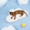 Cloud Cat Bed