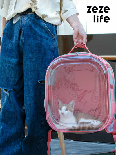 Square Clear Cat Carrier