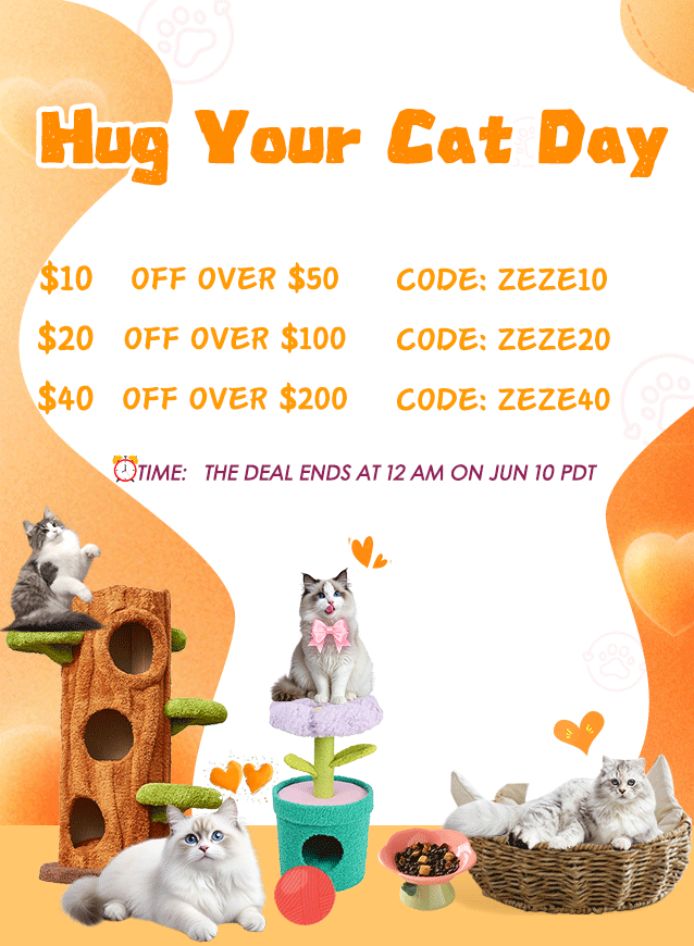 hug cat day 2