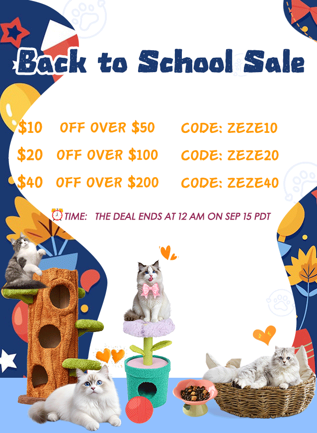 back to school sale (2)