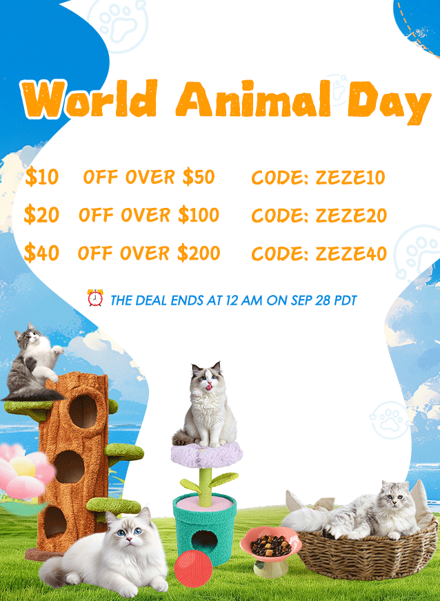 zezelife sale1