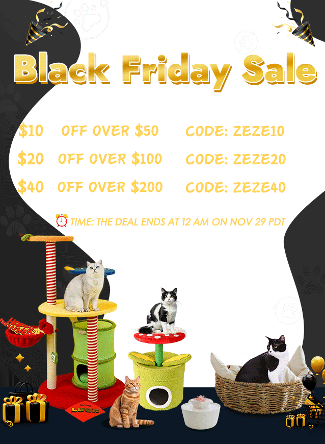 zeze black friday (1)