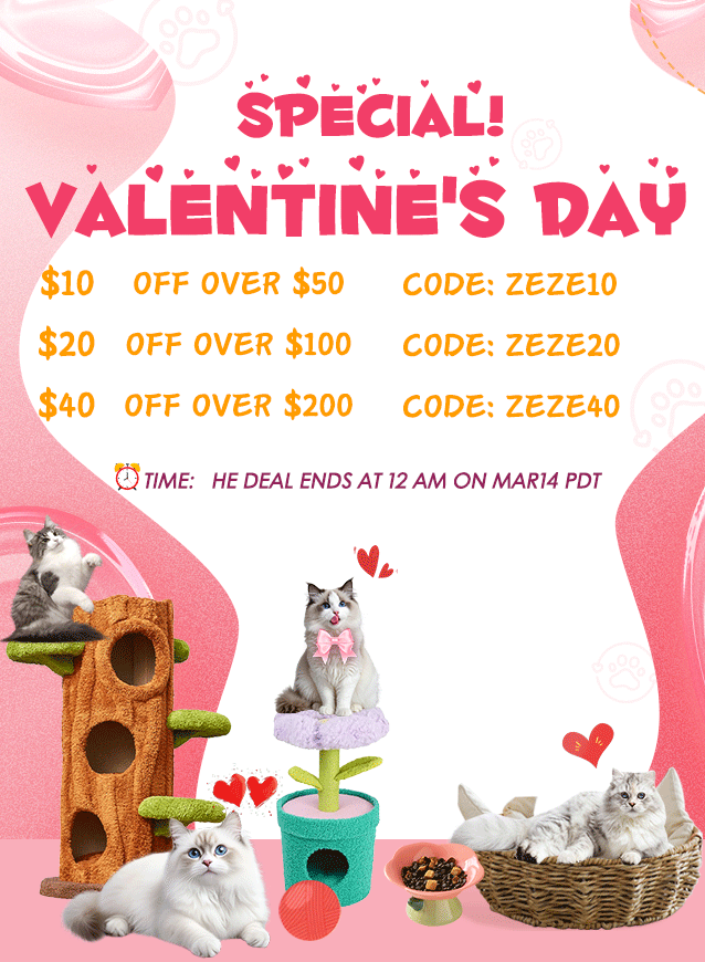 情人节独立站移动端