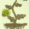 Acorn Catnip Cat Toy zezelife (4)