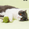 Acorn Catnip Cat Toy zezelife (8)