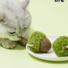 Acorn Catnip Toy (8)