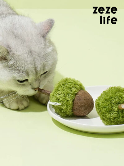 Acorn Catnip Toy (8)