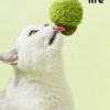 Acorn Catnip Toy (9)