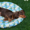 Blue Lotus Summer Cooling Ice Pad (10)