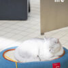 Cat Bed & Scratching Board Toy (10)