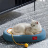 Cat Bed & Scratching Board Toy (12)