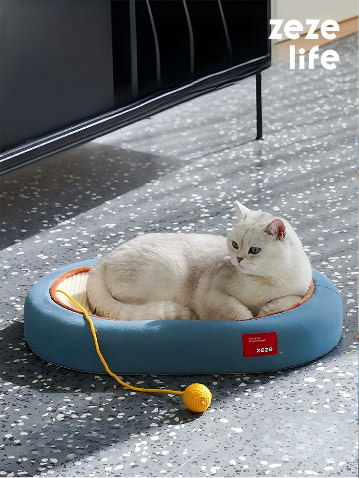 Cat Bed & Scratching Board Toy