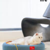 Cat Bed & Scratching Board Toy (4)
