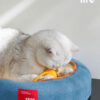 Cat Bed & Scratching Board Toy (9)