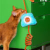 Elastic Cat Wand Toy (11)