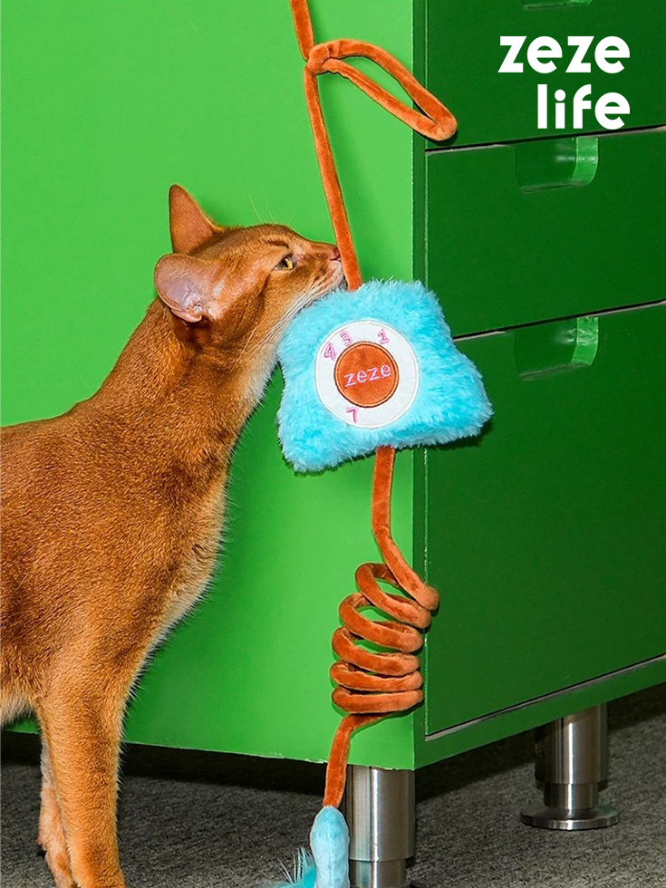Elastic Cat Wand Toy (11)